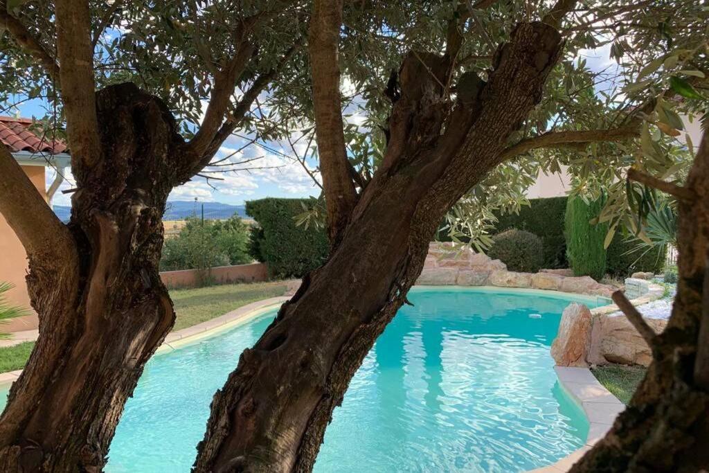 Villa Des Oliviers Avec Piscine Chassagny Exterior foto